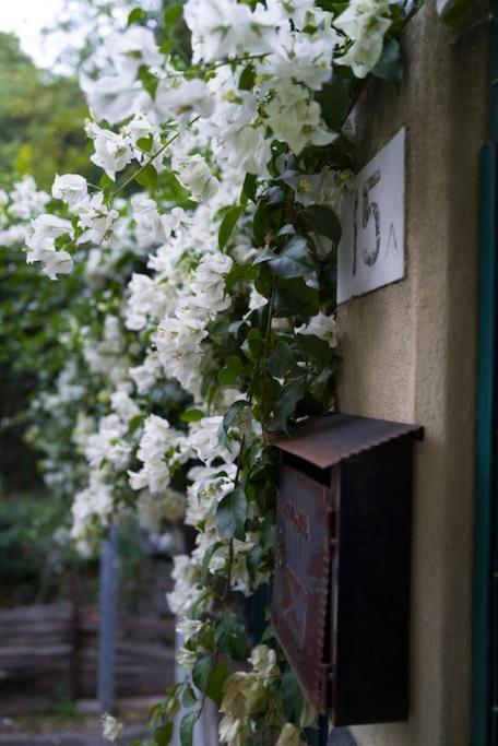 Genova Garden, Vicino Al Gaslini E Boccadasse Apartment Bagian luar foto